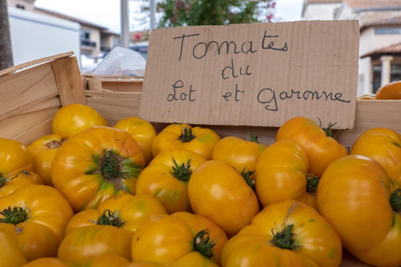 La Maison Duffour Tonneins Eksteriør bilde